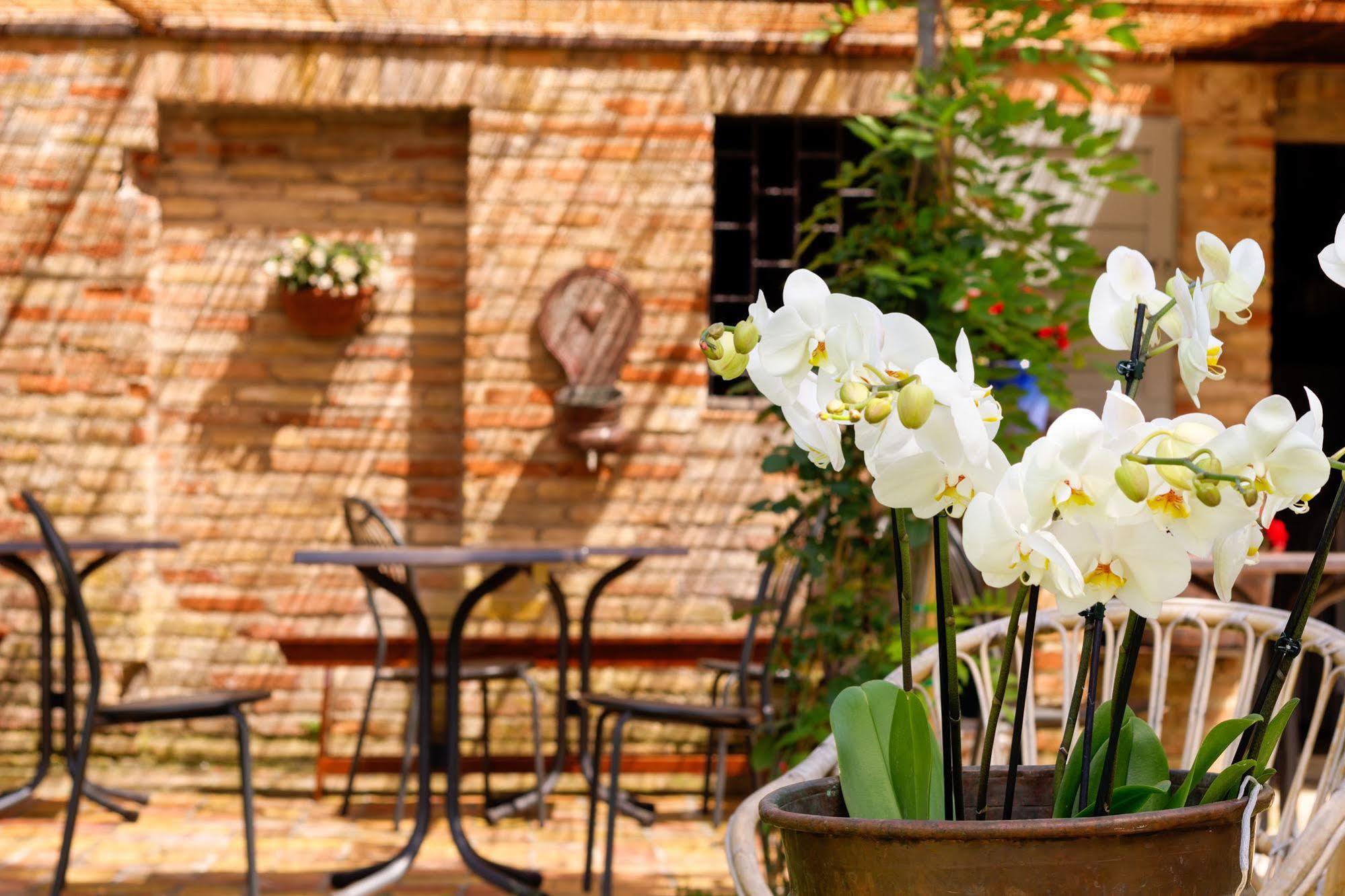 B&B La Residenza Del Poeta Montesicuro Экстерьер фото